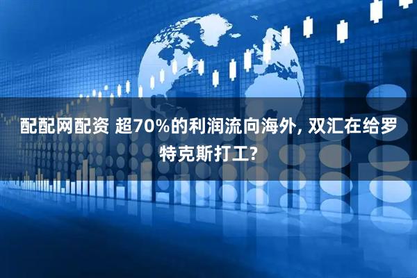 配配网配资 超70%的利润流向海外, 双汇在给罗特克斯打工?