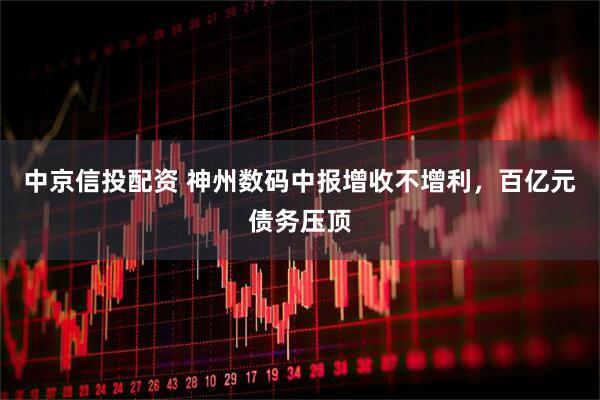 中京信投配资 神州数码中报增收不增利，百亿元债务压顶