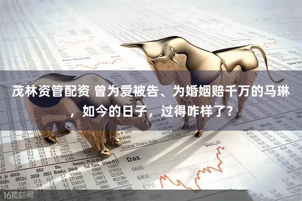 茂林资管配资 曾为爱被告、为婚姻赔千万的马琳，如今的日子，过得咋样了？