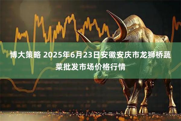 博大策略 2025年6月23日安徽安庆市龙狮桥蔬菜批发市场价格行情